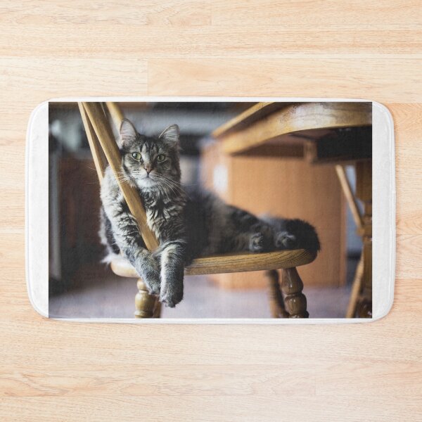 Item preview, Lazy Cat designed and sold by Metaverse8.