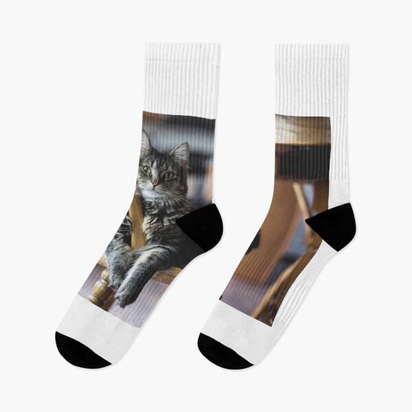 Item preview, Lazy Cat designed and sold by Metaverse8.