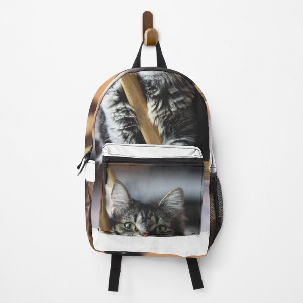 Item preview, Lazy Cat designed and sold by Metaverse8.