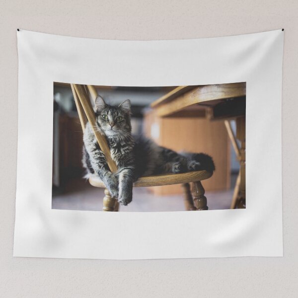 Item preview, Lazy Cat designed and sold by Metaverse8.