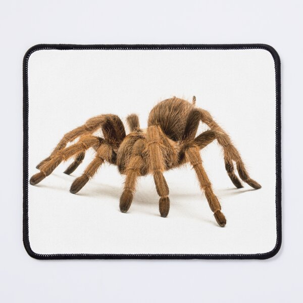Item preview, Large hairy spider designed and sold by Metaverse8.