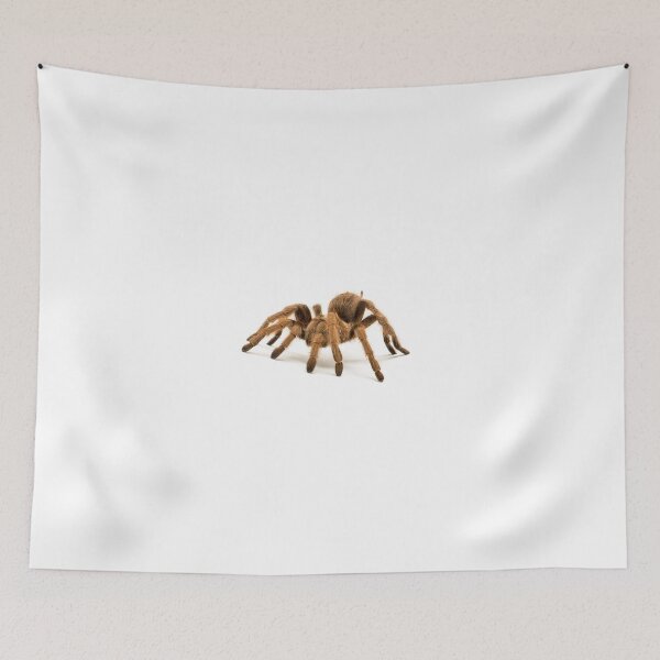 Item preview, Large hairy spider designed and sold by Metaverse8.