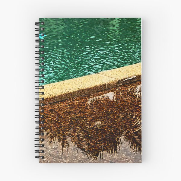Item preview, A Moment of Palm Reflection designed and sold by Geoff Treagus.