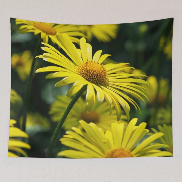 Item preview, Bright and shiny. Leopard's bane designed and sold by Jouko Lehto Photography.