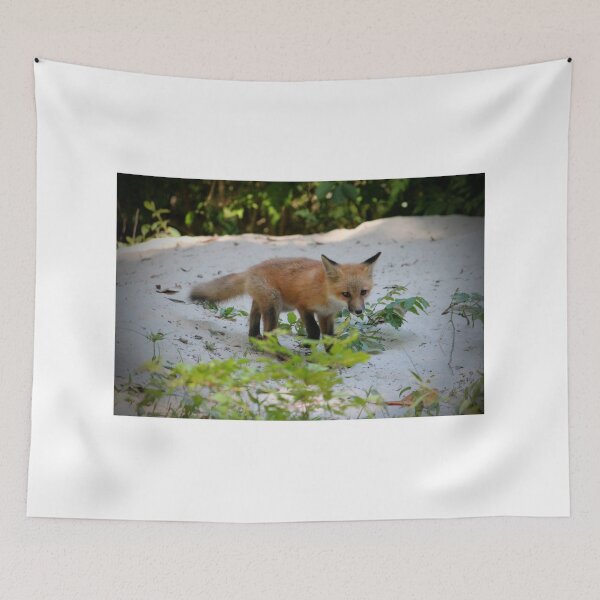 Item preview, Adorable Fox Cub designed and sold by Cynthia48.