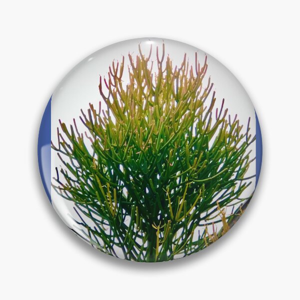 Item preview, Conifer Sky designed and sold by KazM.