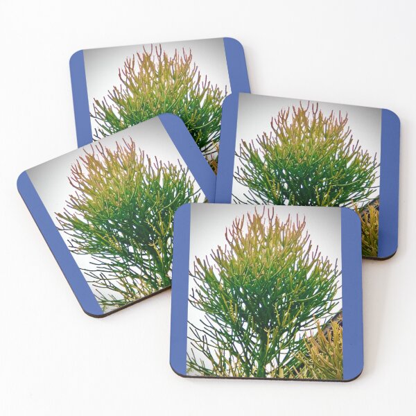 Item preview, Conifer Sky designed and sold by KazM.