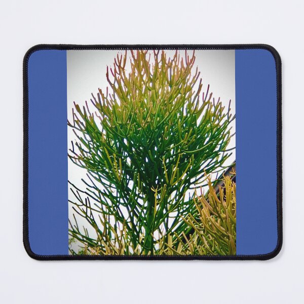 Item preview, Conifer Sky designed and sold by KazM.