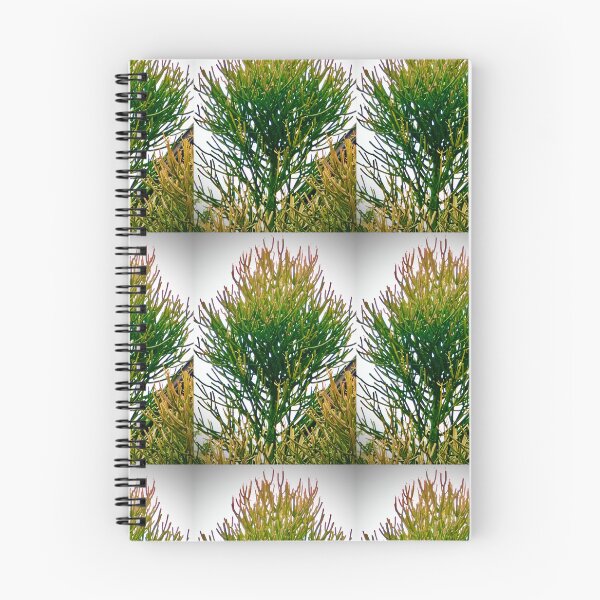 Item preview, Conifer Sky designed and sold by KazM.