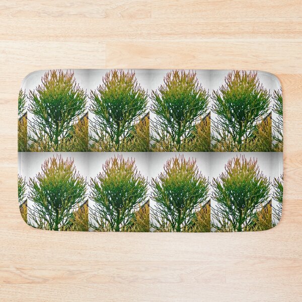 Item preview, Conifer Sky designed and sold by KazM.