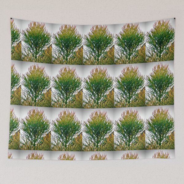 Item preview, Conifer Sky designed and sold by KazM.