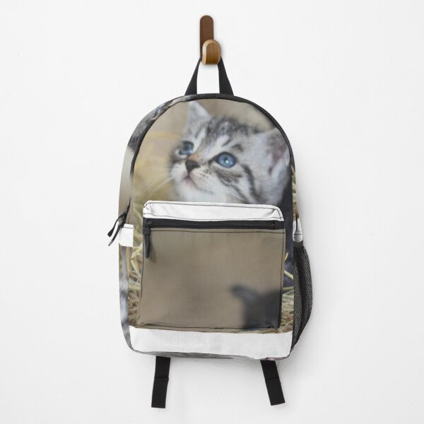Item preview, Kitten Club designed and sold by Metaverse8.