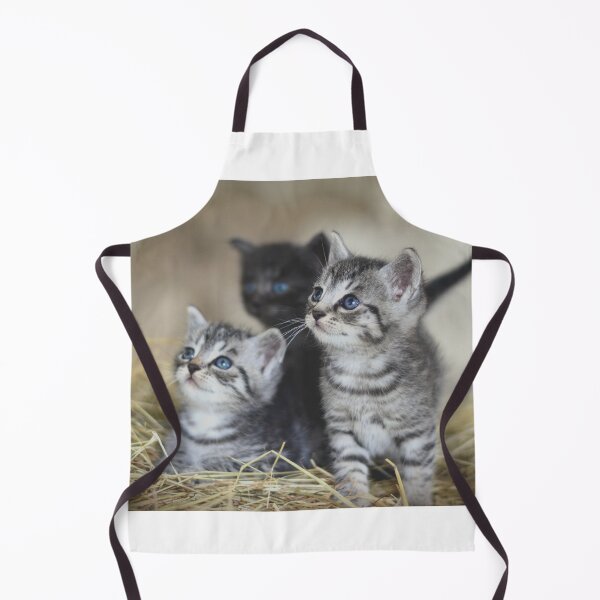 Item preview, Kitten Club designed and sold by Metaverse8.