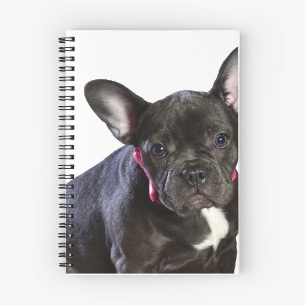 Item preview, Beautiful French Bulldog designed and sold by Metaverse8.