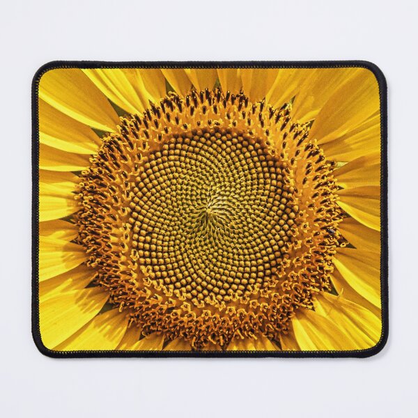 Item preview, Sunflower designed and sold by Alex Preiss.