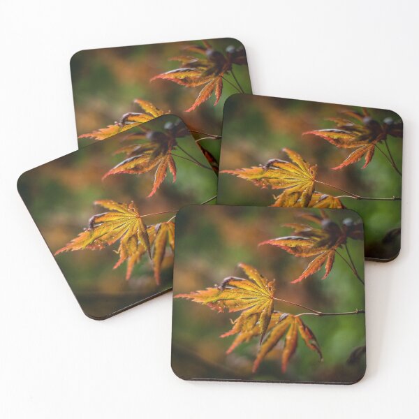 Item preview, Acer Leaves designed and sold by axp7884.