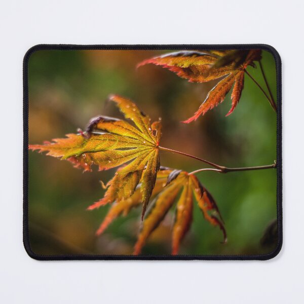 Item preview, Acer Leaves designed and sold by axp7884.