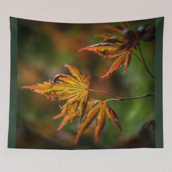 Item preview, Acer Leaves designed and sold by axp7884.
