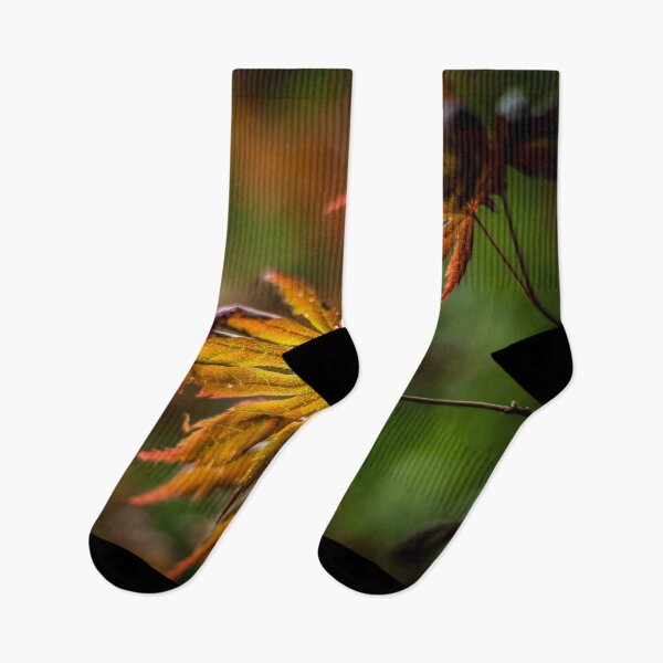 Item preview, Acer Leaves designed and sold by axp7884.