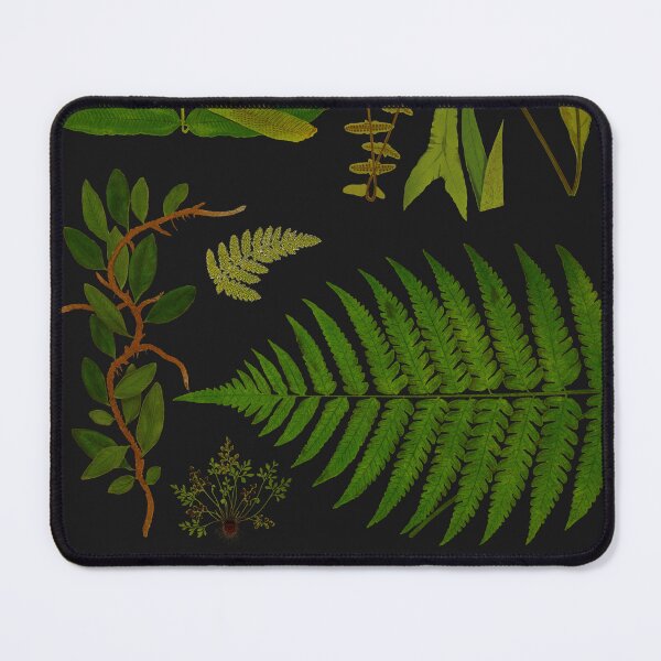 Item preview, Vintage Fern Species designed and sold by LeAllureVintage.
