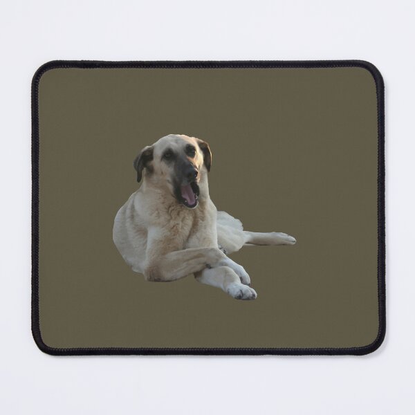 Item preview, Kangal Dog Yawning Vector Cut Out designed and sold by taiche.