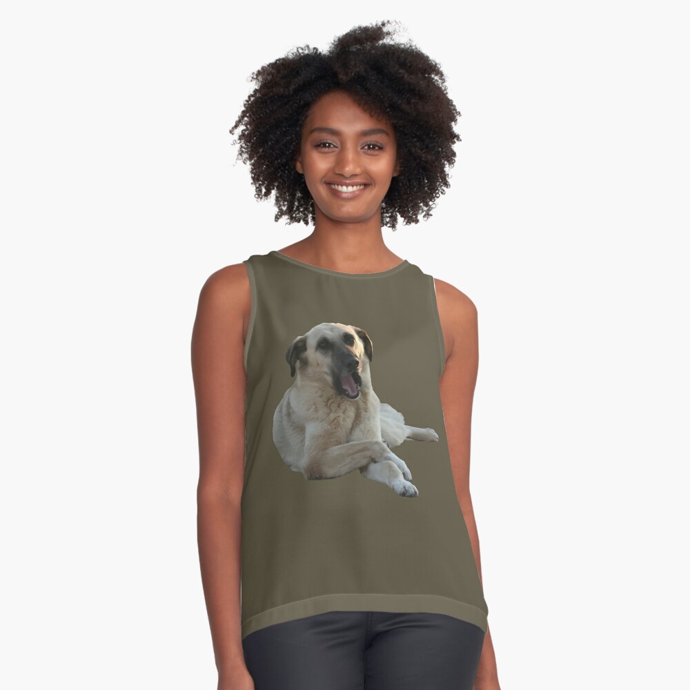 Kangal Dog Yawning Vector Cut Out