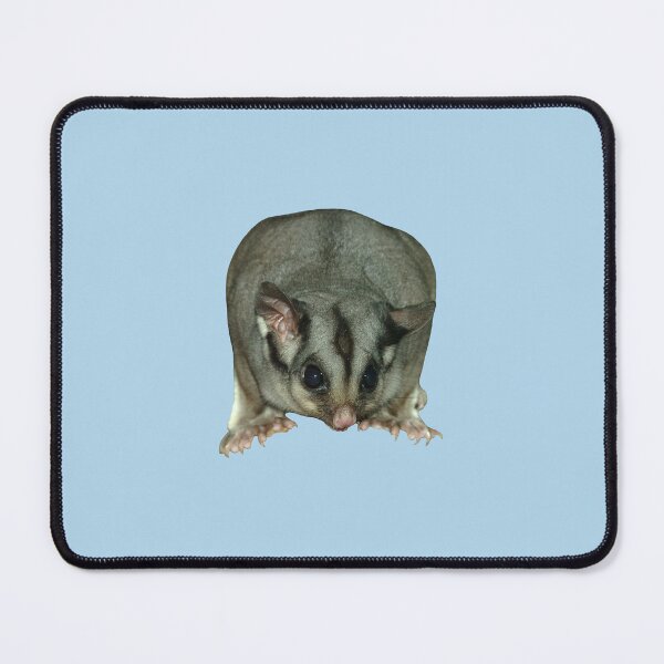 Item preview, Sugar Glider 3 designed and sold by quentinjlang.