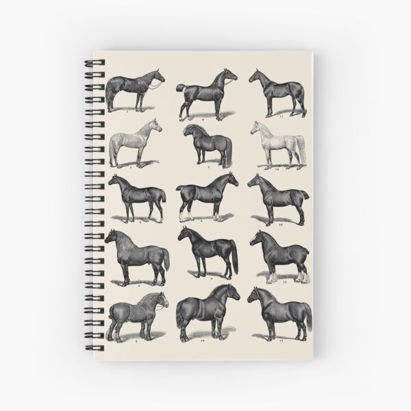 Aperçu de l'œuvre Races de chevaux d'époque créée et vendue par LeAllureVintage.