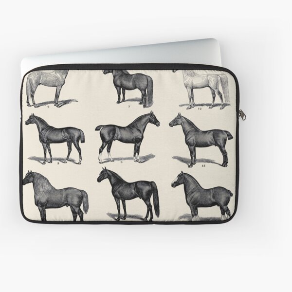 Aperçu de l'œuvre Races de chevaux d'époque créée et vendue par LeAllureVintage.