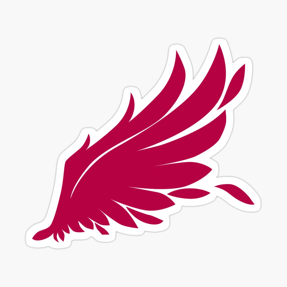 Details 146+ birdy wings anime best 3tdesign.edu.vn