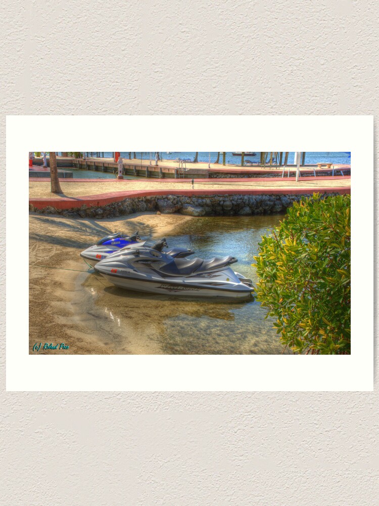 Alternate view of Wave Runners Art Print