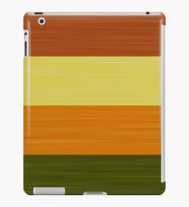 Brush Stroke Stripes: Fall Foliage iPad Case/Skin