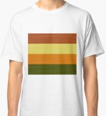 Brush Stroke Stripes: Fall Foliage Classic T-Shirt