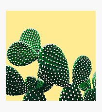 Cactus Garden ( yellow ) Photographic Print
