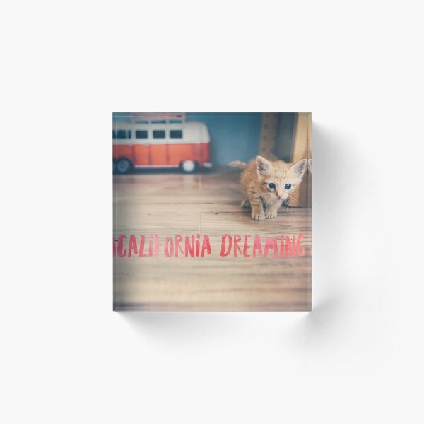 Ginger Kitten California Dreaming Watercolor Word Art Wall Art Acrylic Block