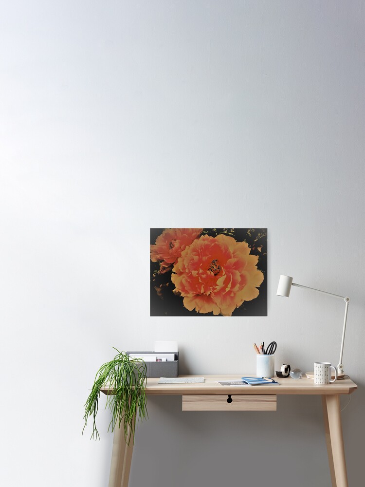 Peony House Of Harlequin Poster By Jacquline86 Redbubble