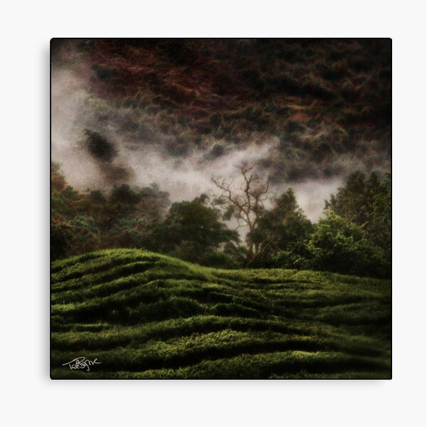 Uganda: Tea Quilt Canvas Print