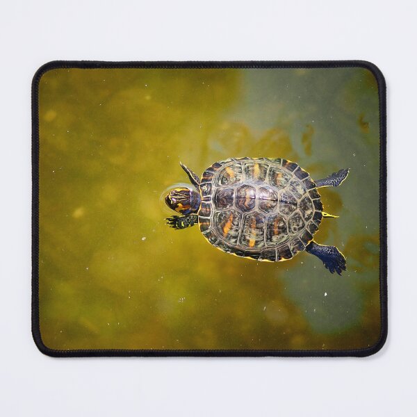 Item preview, The journey of a baby turtle designed and sold by Pino 'Delfino' Esposito.