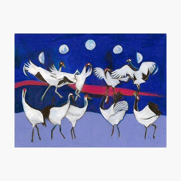 Nine Dancing Cranes Photographic Print