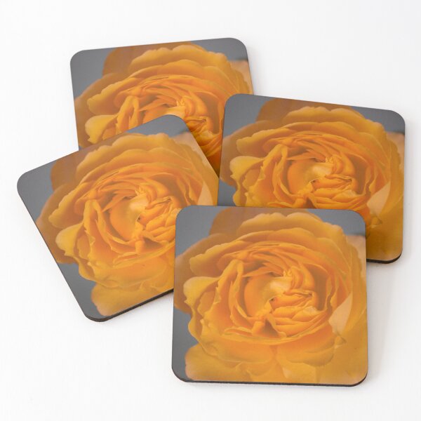 Item preview, Rose with Summer Haze designed and sold by bertsworks300.