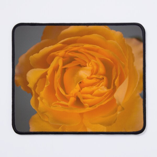 Item preview, Rose with Summer Haze designed and sold by bertsworks300.