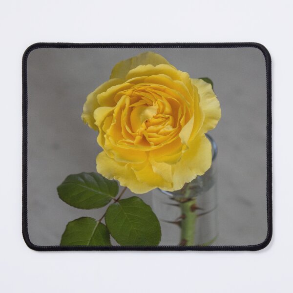 Item preview, Single Yellow Rose with Blue designed and sold by bertsworks300.