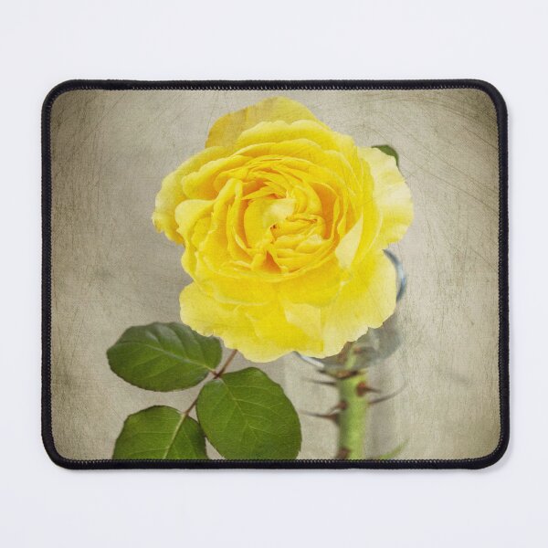 Item preview, Single Yellow Rose with Thorns designed and sold by bertsworks300.