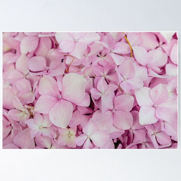 Item preview, Spring is pink designed and sold by TheNinthMemory.