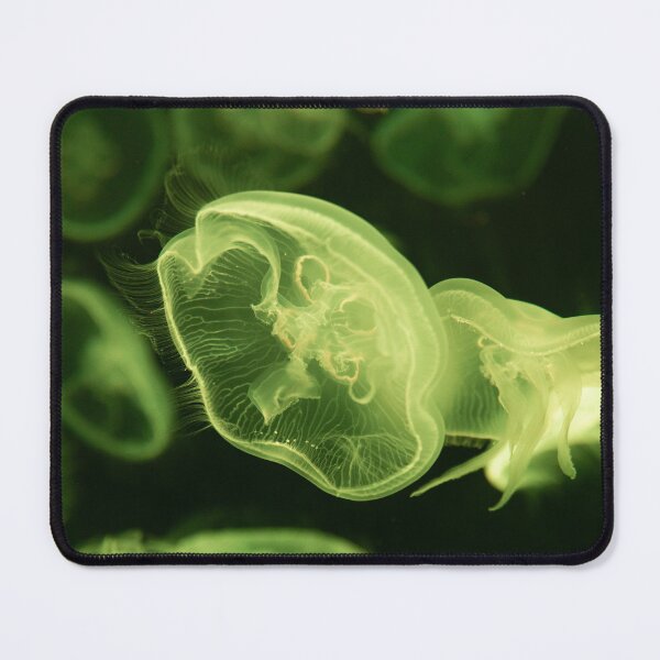 Item preview, beautifull yellow rainbow jellyfish designed and sold by ydsdesigns.