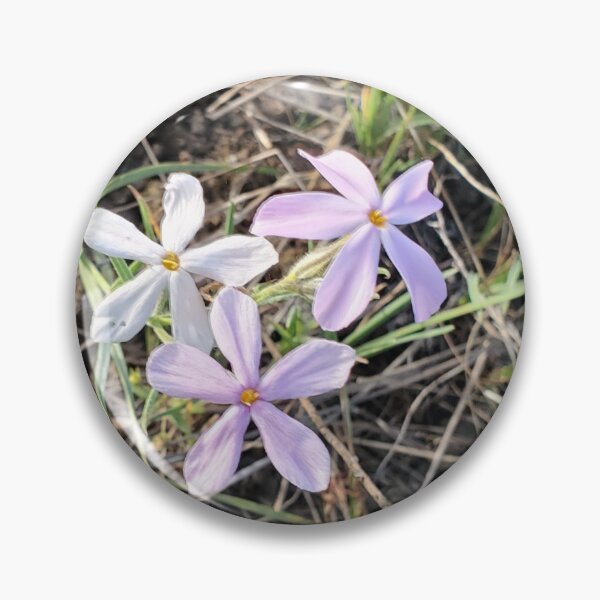 Item preview, Wildflowers in a Meadow Photo designed and sold by Willyboy16.