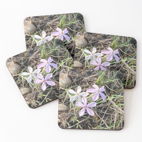 Item preview, Wildflowers in a Meadow Photo designed and sold by Willyboy16.