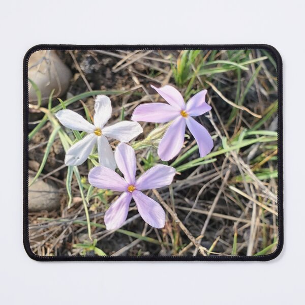 Item preview, Wildflowers in a Meadow Photo designed and sold by Willyboy16.