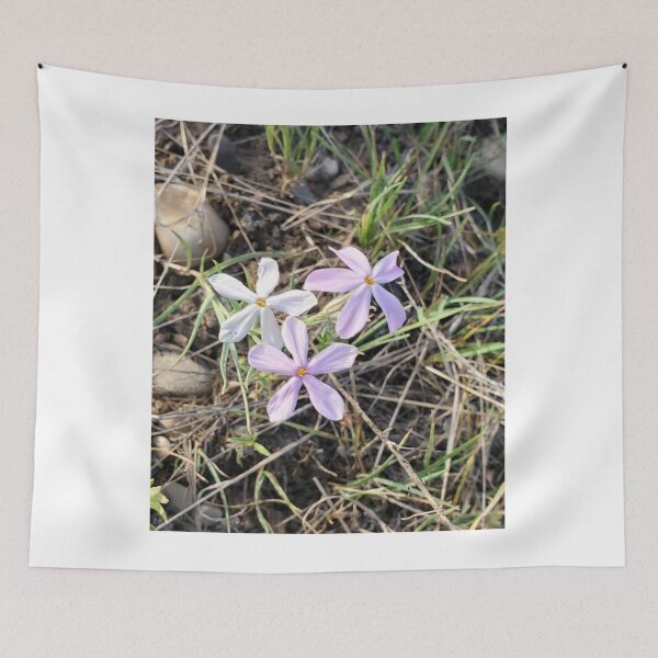 Item preview, Wildflowers in a Meadow Photo designed and sold by Willyboy16.