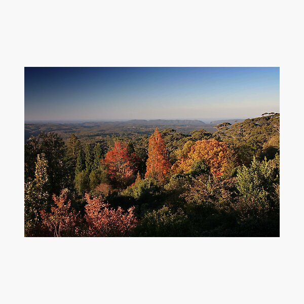 Item preview, Autumn Mt. Tomah Blue Mountains NSW designed and sold by MiImages.